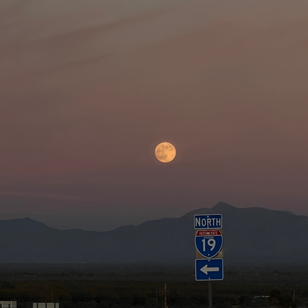 Meet your Posher, Marielle